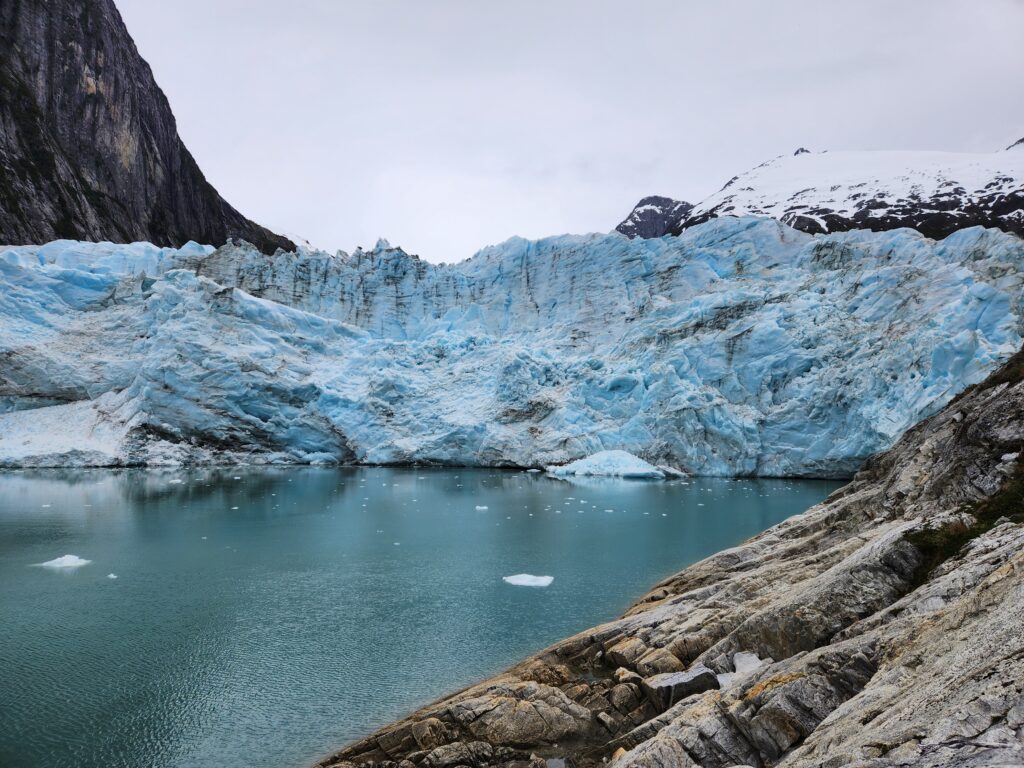 whale watching Patagonia,