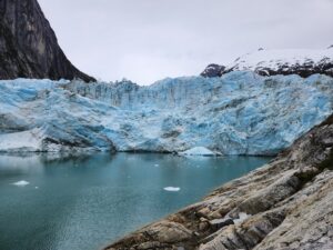 whale watching Patagonia,