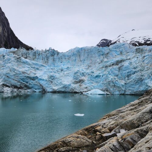 whale watching Patagonia,